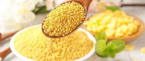 吃小米的人注意了 信息系統(tǒng)集成服務(wù)正悄然改變你的生活